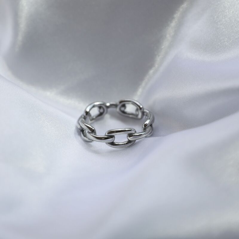 Stainless chain ring
